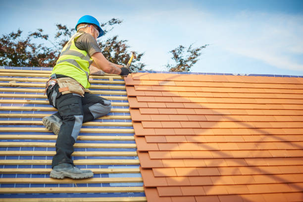Best Roof Leak Repair  in Dakota Dunes, SD
